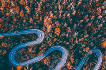 Country road at autumn