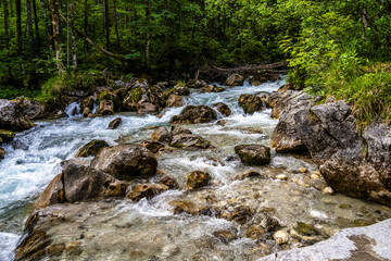 Magic Forest Zauberwald at Lake Hintersee with Creek Ramsauer Ache. National Park Berchtesgadener Land, Germany