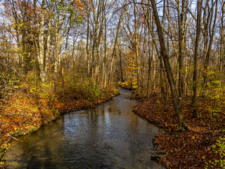 Golden autumn view in famous Munich relax place - Englischer Garten. Munich, Bavaria, Germany