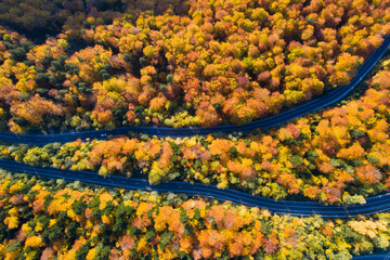 Country road at autumn