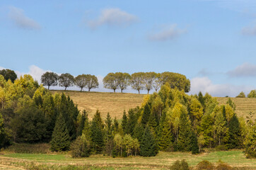 Obraz premium Bieszczadzkie panoramy 