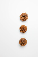 Christmas pine cones on white paper border composition. Christmas, winter, new year concept. Flat lay, top view