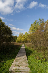 Ścieżka 