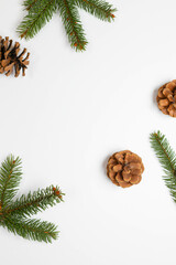 Christmas composition. Pine cones with nature evergreen fir sprigs on a white background. Christmas, winter, new year concept. Flat lay, top view