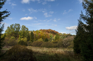 Bieszczadzkie panoramy 