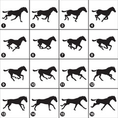 horse gallop sequence 16 frames silhouette