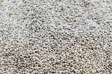 Hemp seeds are sold in the food market.