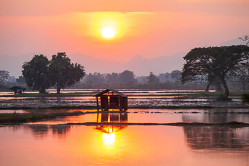Fototapeta premium Rural landscape with huts among rice paddy fields.