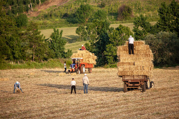farmer in field