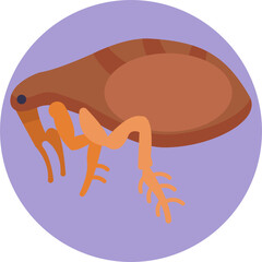 Flea. Insects and Bugs Icon.