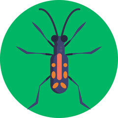 Tiger Beetle. Insects and Bugs Icon.