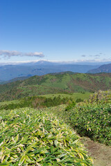 Fototapeta na wymiar 富士見台からの眺め