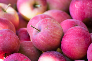Red apples, close up, copy space, background