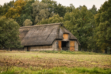 Fototapeta na wymiar Old thatched farmstead. Romantic landscape of the Lüneburg Heath, Lüneburger Heide. Wilsede, Bispingen, Lüneburg Heath Nature Reserve, Lower Saxony, Germany.