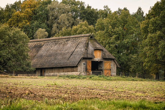 Old thatched farmstead. Romantic landscape of the Lüneburg Heath, Lüneburger Heide. Wilsede, Bispingen, Lüneburg Heath Nature Reserve, Lower Saxony, Germany.