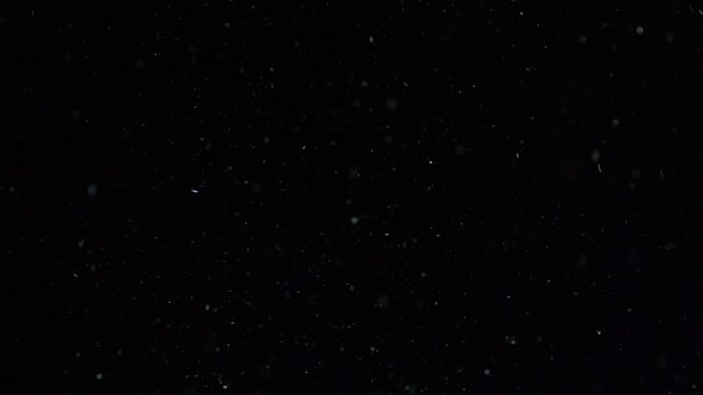 Snow falling in slow motion on black background 4k footage