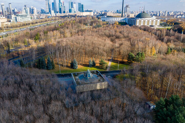 Naklejka premium panoramic view from a drone on an autumn park with yellow trees on a sunny day 