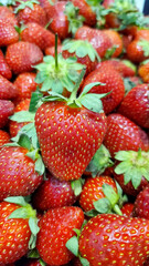 Background of ripe strawberries in a box. A box of red juicy strawberries in close-up. Top view
