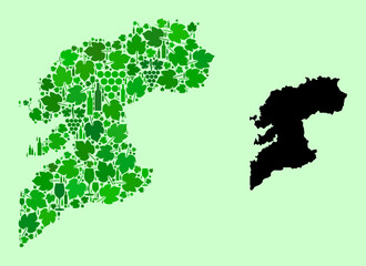 Vector Map of Pontevedra Province. Collage of green grapes, wine bottles. Map of Pontevedra Province mosaic designed from bottles, grapes, green leaves.