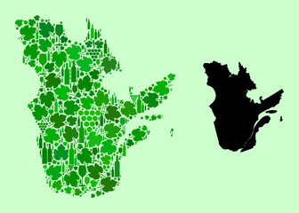 Vector Map of Quebec Province. Combination of green grape leaves, wine bottles. Map of Quebec Province mosaic formed from bottles, berries, green leaves.