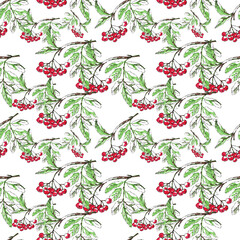 Rowan berries in the snow, Isolated rowan on a white background. Colorful autumn pattern with rowan berries and green leaves. Wallpaper, packaging, textiles, kraft paper