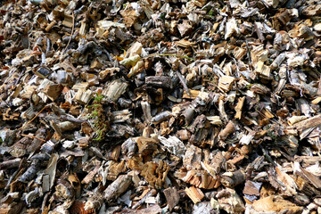 Close up of wood chippings from an electric shredder - ideal for compost or as heating material
