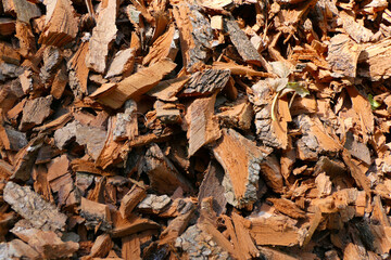 Close up of bark chippings from an electric shredder - ideal for compost or as heating material

