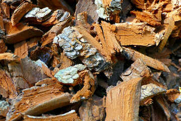 Close up of bark chippings from an electric shredder - ideal for compost or as heating material
