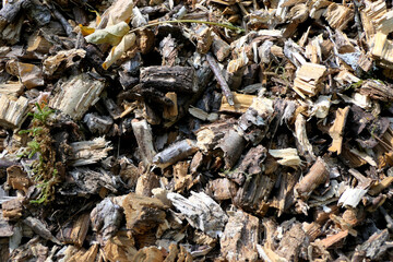 Close up of wood chippings from an electric shredder - ideal for compost or as heating material

