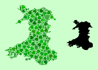 Vector Map of Wales. Collage of green grape leaves, wine bottles. Map of Wales mosaic designed from bottles, grapes, green leaves. Abstract mosaic is designed for wine production propaganda.