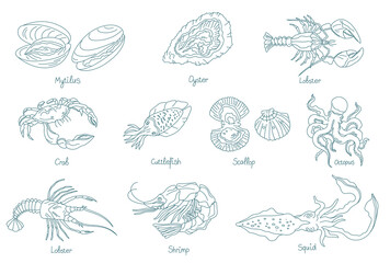 Seafood. Marine molluscs. Open paths. Editable stroke. © Ilia