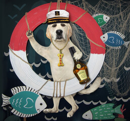 A dog labrador in a captain hat with a bottle of rum stands near a lifebuoy.