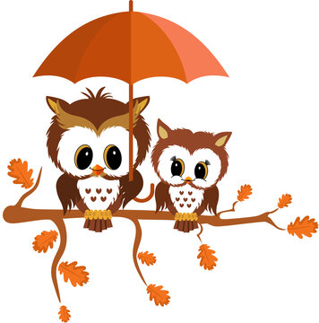 Two owls on autumn branch tree with umbrella
