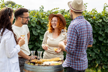 Four friends standing in vineyard with glasses of vine red and white drinking, relaxing and talk to...