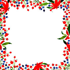 Square frame made of red and blue berries.