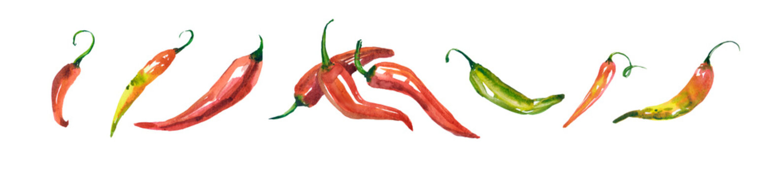Watercolor Hand Drawn Chilli Pepper