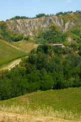 Obraz premium Rural landscape on the hills near Riolo Terme and Brisighella