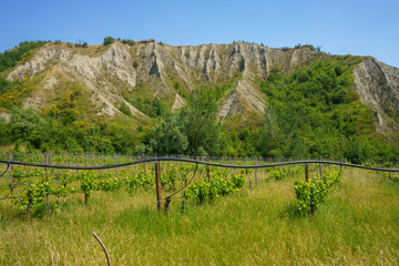 Fototapeta premium Rural landscape on the hills near Imola and Riolo Terme