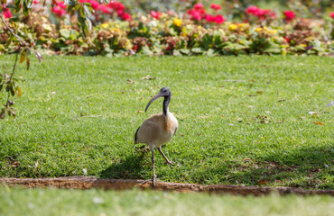 Dramatic lighting and contrast on window blinds 