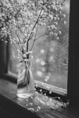 a vase with a bouquet of small white flowers stands on the window, raindrops on the window