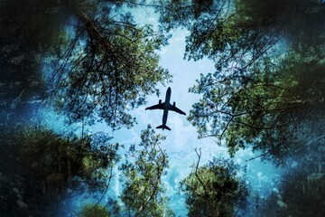 flying over the forest