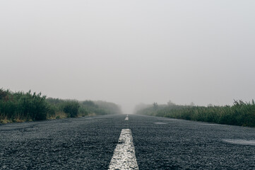 Country road in the misty fog of fanal in Madeira