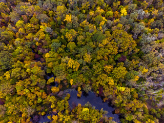 Colorful Autumn Forest and River. Aerial view from the Drone.