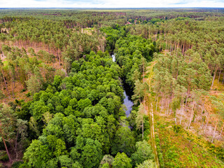 Brda river and Tuchola forest in Poland. Aerial view - obrazy, fototapety, plakaty