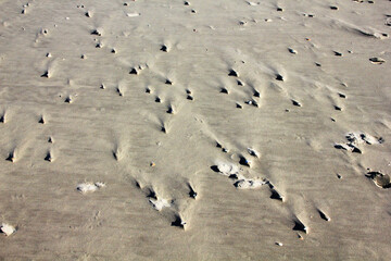 Sandy beach in the sunshine. Because of the wind you see some interesting shapes.
