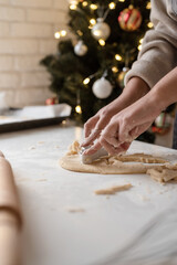 Smiling woman in the kitchen baking christmas cookies