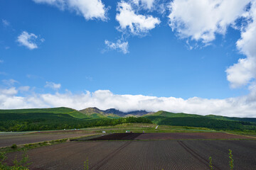 Fototapeta na wymiar 群馬県　嬬恋パノラマライン　愛妻の丘からの四阿山 