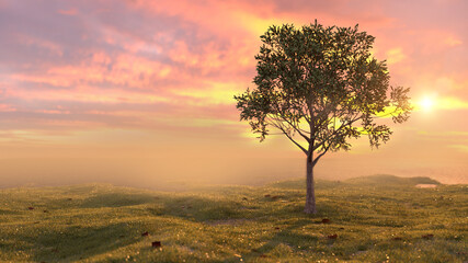 Fototapeta na wymiar Vergänglichkeit – Baum auf Wiese vor Sonnenuntergang