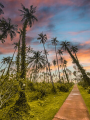 Obraz na płótnie Canvas Beautiful sunset over koh Mak tropical island and its beach, near koh Chang, Trat, Thailand