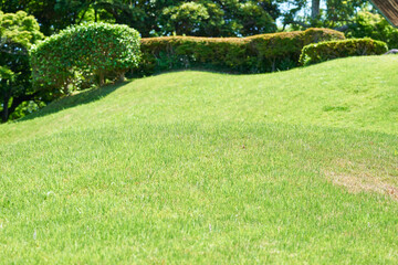 Obraz premium 神奈川県 大磯城山公園の芝 